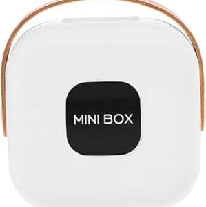 Portable Organizer for Travel Compact and Lightweight Jewelry Box (White)